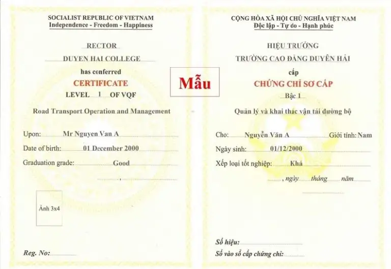 Khóa Học Chứng Chỉ Quản Lý Khai thác Vận Tải | Cấp chứng chỉ 2026