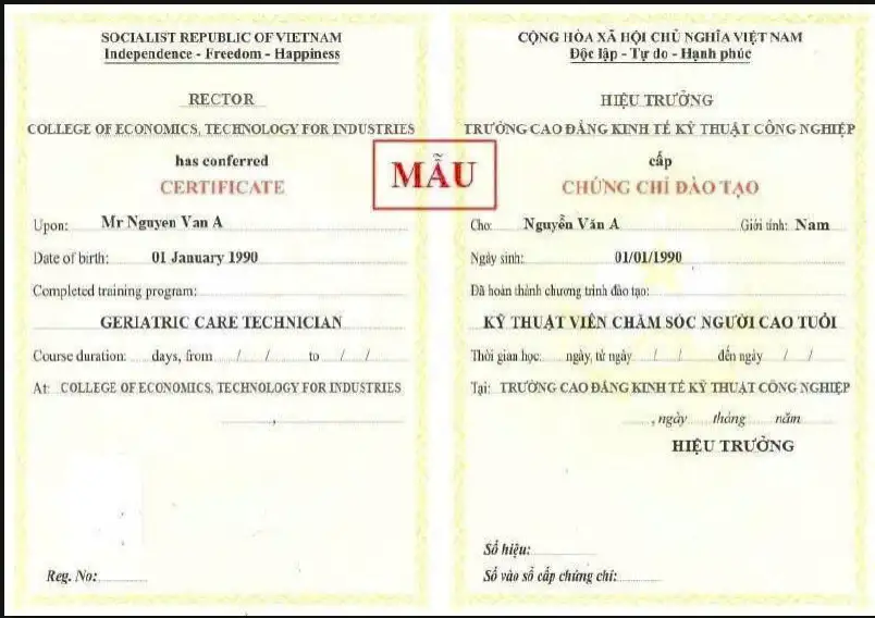 Khóa Học Chăm Sóc Người Già Online T8/2026